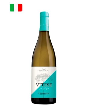 Vitese Chardonnay DOC