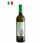 Colli Euganei Pinot Grigio DOC Colli Euganei Pinot Grigio DOC