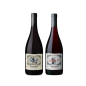 Pack Torrontés Lovers | La Viniteca