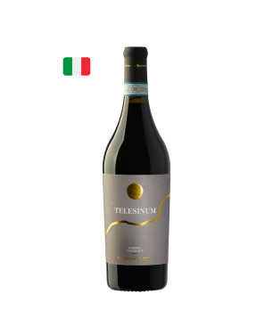 Solopaca Telesinum Barbera Sannio DOP 2021