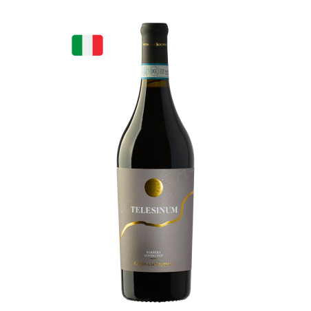 Solopaca Telesinum Barbera Sannio DOP 2021