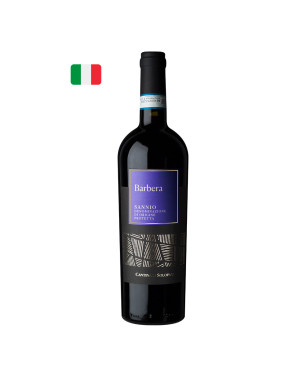 Solopaca Barbera Sannio DOP 2022