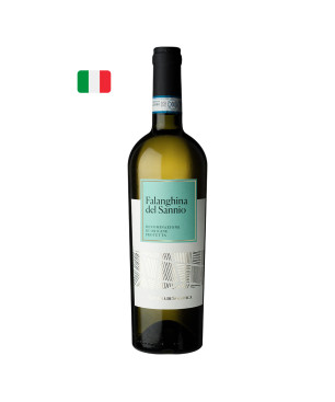 Solopaca Falanghina del Sannio DOP 2024