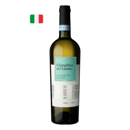 Solopaca Falanghina del Sannio DOP 2024