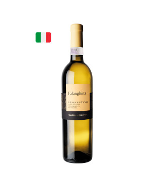 Solopaca Falanghina Beneventano IGP 2024