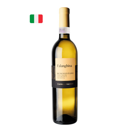 Solopaca Falanghina Beneventano IGP 2024