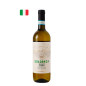 Solopaca Bianco Sannio DOP 2024