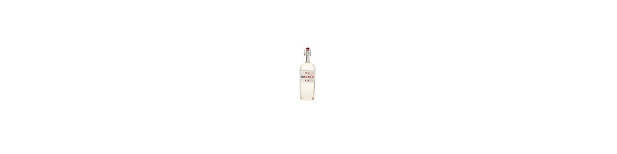 Gin