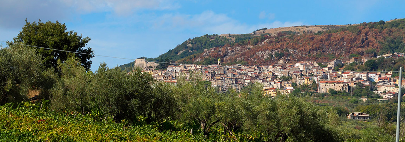 Bodega Monte del Fra