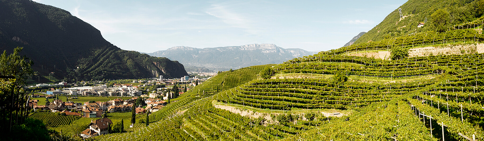 Bodega Monte del Fra